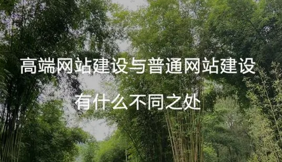 厦门网站建设